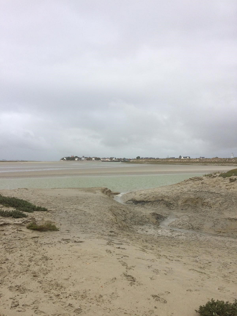 Baie de Somme 6ème - octobre 2018