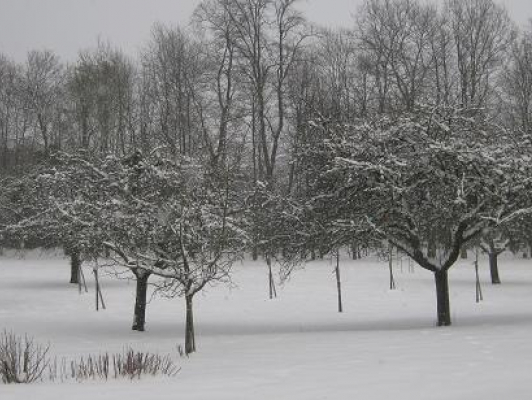 St Do sous la neige