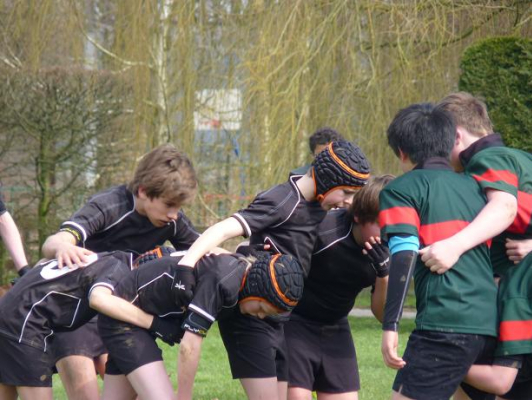 Rugby 2013