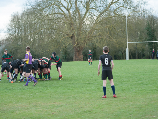 Match de rugby St-do / Ecosse du 21 mars 2014