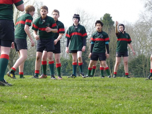 Rugby 2013