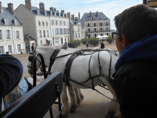 Val de Loire 2014 » Val de Loire 2014